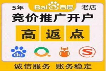 旅游行业SEM推广的成功案例分享
